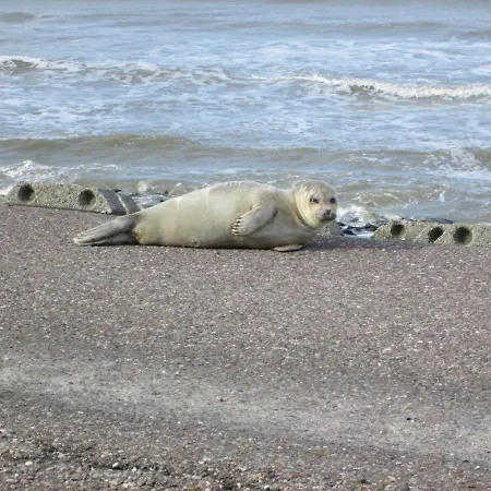 Haus-halligblick-ferienwohnungen-am-meer דירה Dagebüll