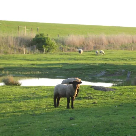 דירה Haus-halligblick-ferienwohnungen-am-meer *