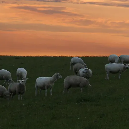 Haus-halligblick-ferienwohnungen-am-meer * Dagebüll