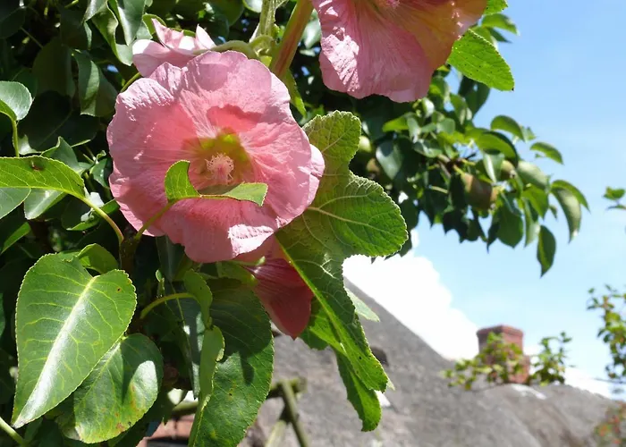 Lägenhet Haus-halligblick-ferienwohnungen-am-meer *